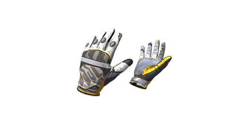 Gloves | Champion