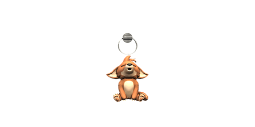 Charm | Coyote