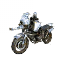 Motocycle | Gold Porcelain2-Seat
